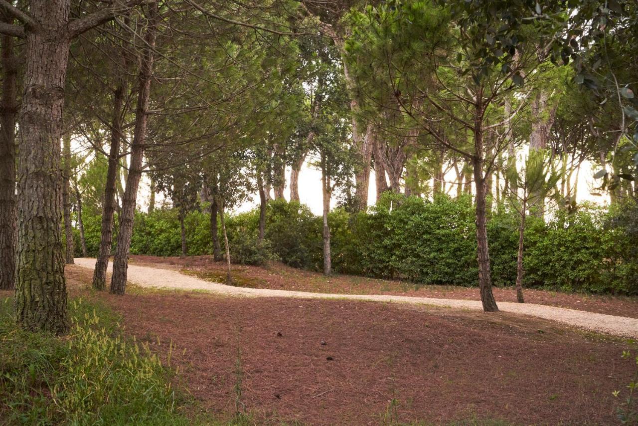 Aparthotel La Pineta Lido di Jesolo Exteriör bild